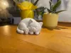 0.16mm layer, 3 walls, 10% infill