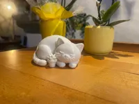 0.16mm layer, 3 walls, 10% infill