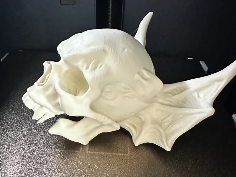 Demon Bat Skull