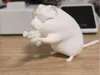 0.2mm layer, 2 walls, 5% infill
