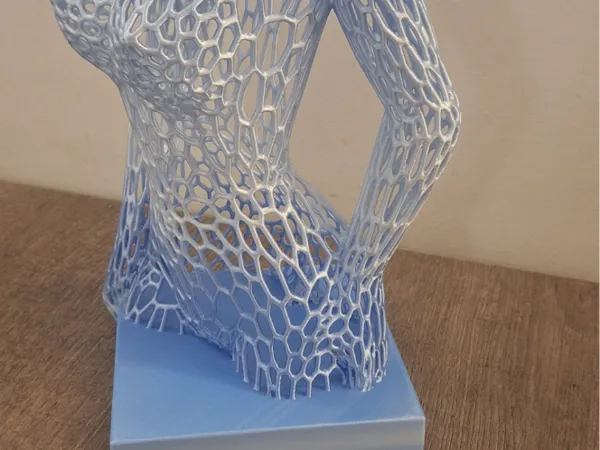 https://makerworld.bblmw.com/makerworld/model/US4a9a0cf5df42e6/design/2025-10-18_ce1f8663c7bb3.jpg