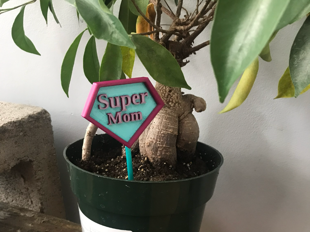 Super Mom Plant Sign