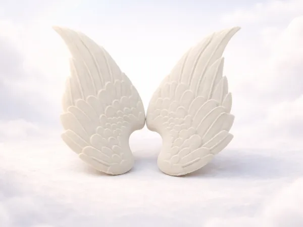 https://makerworld.bblmw.com/makerworld/model/US4a9cf3848276d7/design/2026-01-01_1bfc9b2c66e4f8.png