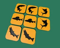 Wildfish 8 Cards bonus NOAMS