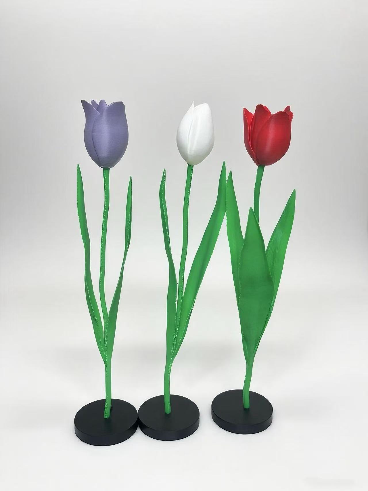 Miniatura 1 do modelo 3D 永生花-郁金香