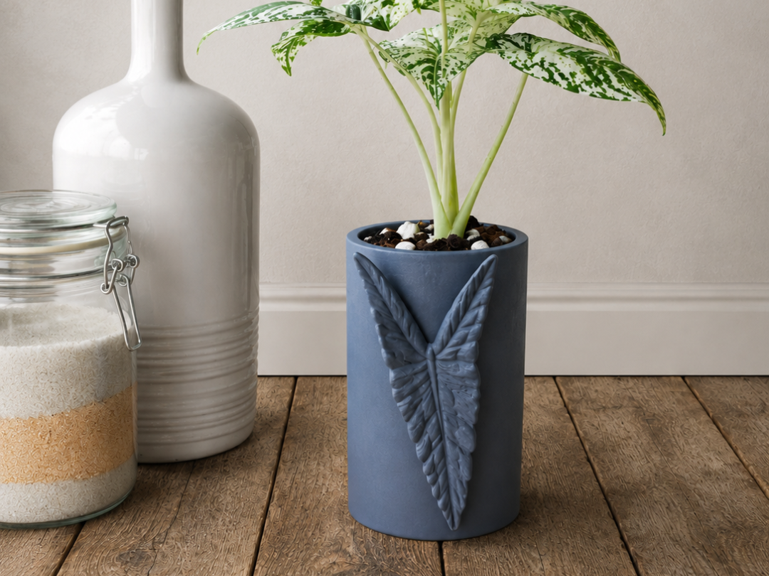 Alocasia Simpo Planter
