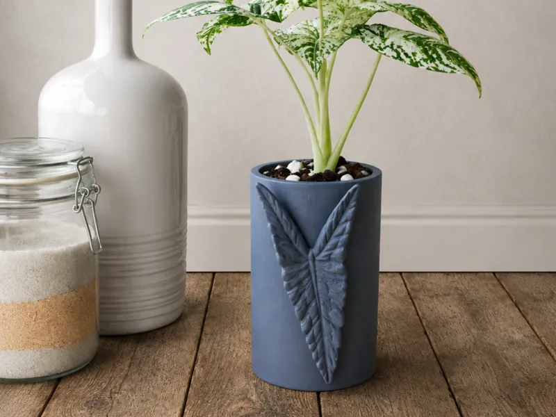 Alocasia Simpo Planter