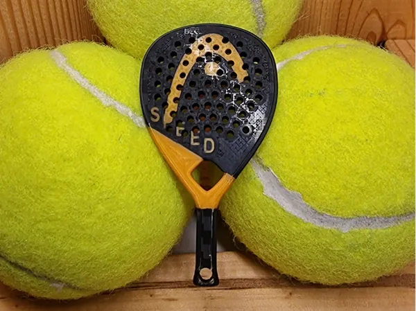 https://makerworld.bblmw.com/makerworld/model/US4aab317b630ec9/design/2025-03-01_99d01789d7b02.jpg
