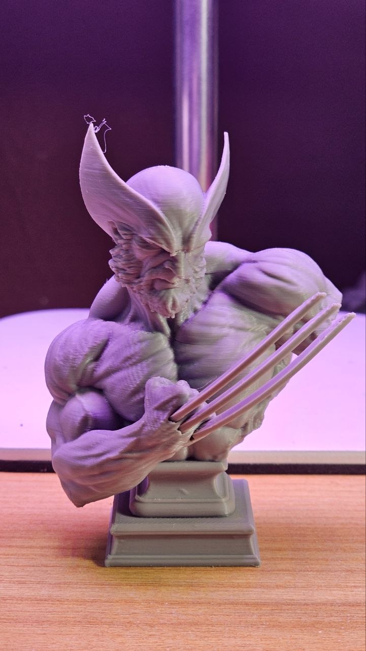 Wolverine Bust Fan Art - 1