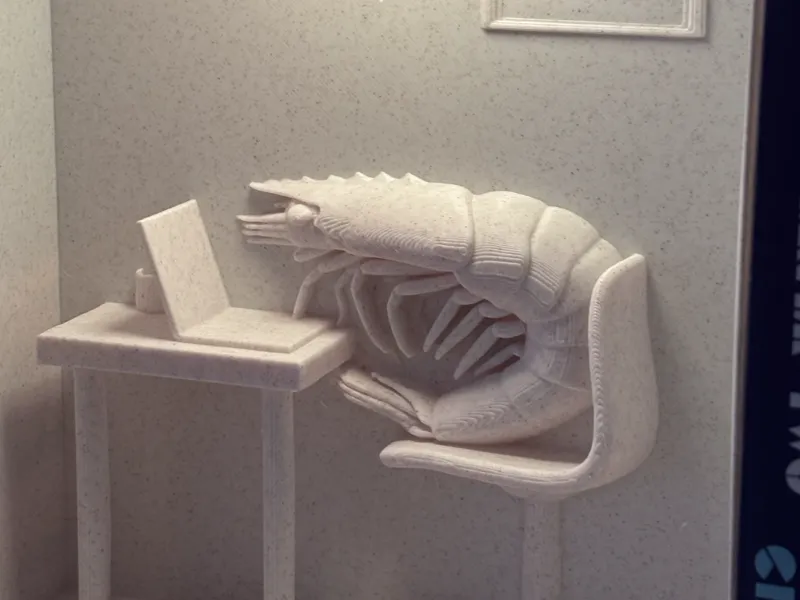 Late night shrimp book nook