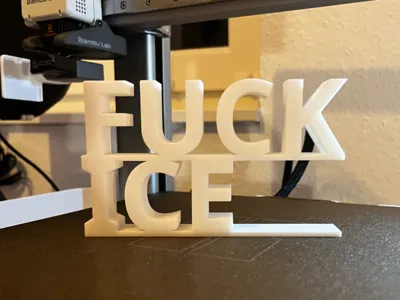 F##K ICE sign - a statement against the ICE troops