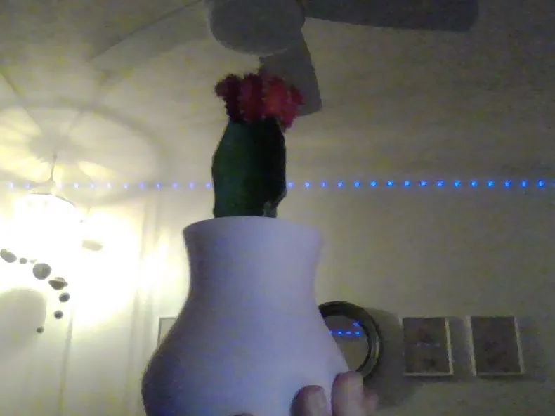 simple, small vase