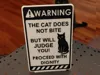 Warning - No biting but will judge 
