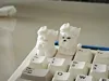 0.16mm layer, 2 walls, 15% infill