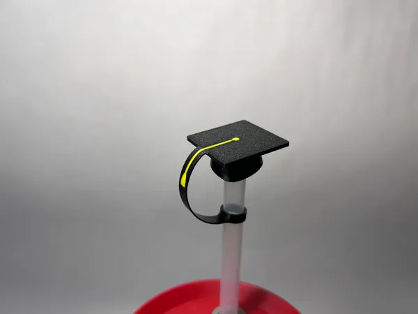 https://makerworld.bblmw.com/makerworld/model/US4ac5855e0a35b1/design/2025-05-13_ae0823bef662c.jpg
