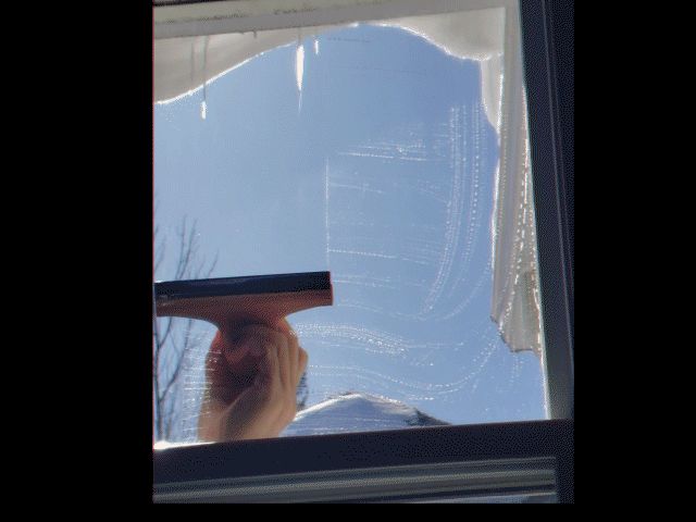 100% Printed Window or Shower Squeegee!
