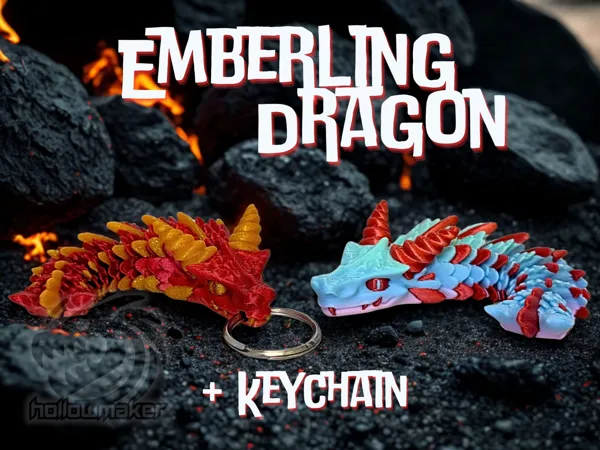 https://makerworld.bblmw.com/makerworld/model/US4aca3ea2d44bb9/design/2025-05-17_0b163b8dca411.jpg