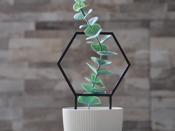 https://makerworld.bblmw.com/makerworld/model/US4acbba65a81a69/design/2025-04-09_d6c706ee5ccaf.jpg