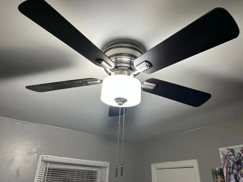 Ceiling Fan Light