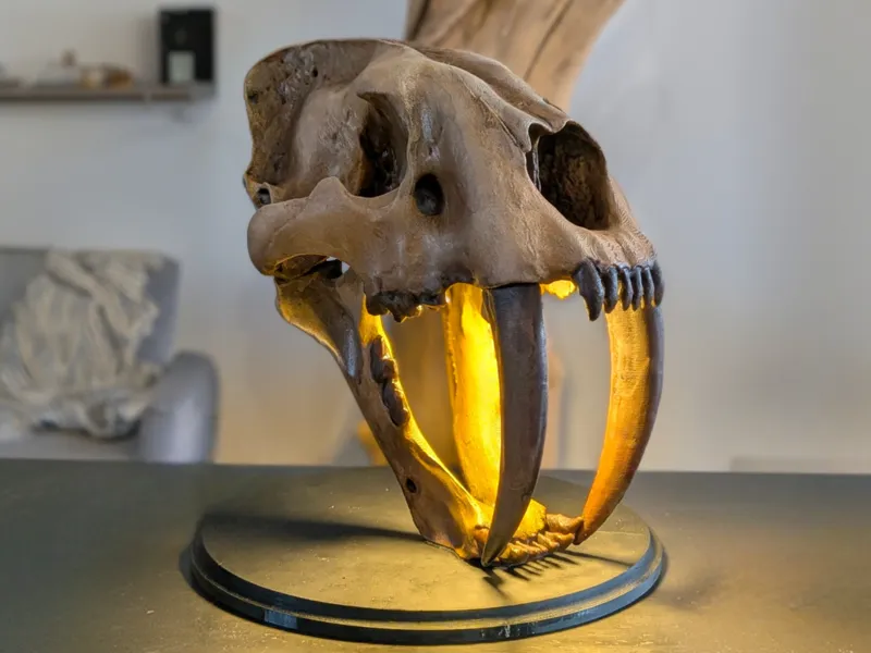 Smilodon Lamp Skull