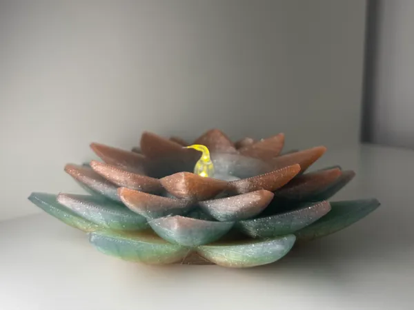 https://makerworld.bblmw.com/makerworld/model/US4ad5cae8118cd/design/2025-04-08_2a86ced738899.jpeg