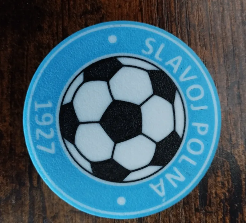 TJ Slavoj Polna coaster