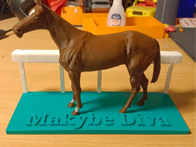 Tribute to Makybe Diva