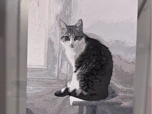 Chat Royal