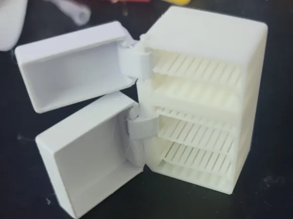 https://makerworld.bblmw.com/makerworld/model/US4adbe62ef9cb5/design/2025-01-08_ac0aa3076e67e.jpg