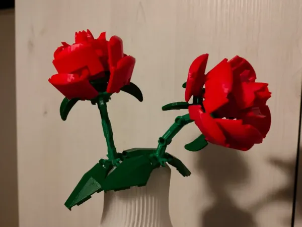 https://makerworld.bblmw.com/makerworld/model/US4adef4fd01101d/design/2025-01-07_ef4829965542f.webp