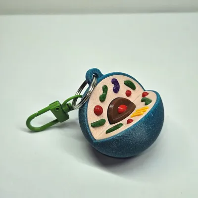 Human-cell keychain by 3DPZ - MakerWorld