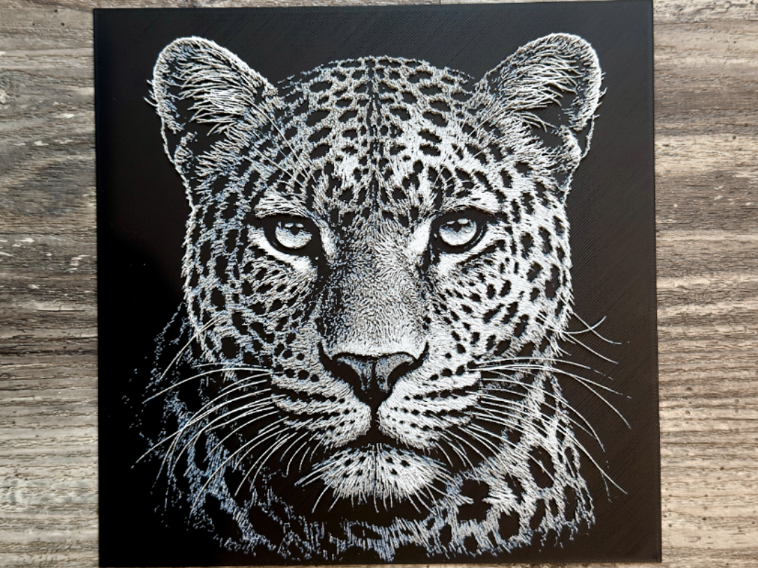 Leopard Wildlife Series