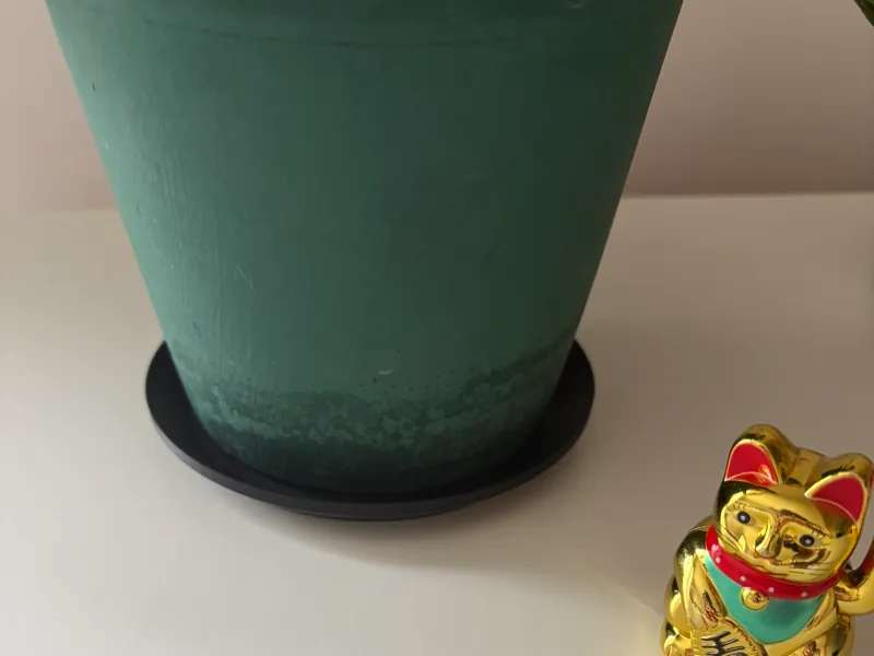 Coupole pot de fleur