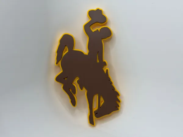 https://makerworld.bblmw.com/makerworld/model/US4aeda99c692190/design/74e3b95d50c8cd33.jpeg