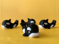 Mini orque mignonne — photo 1