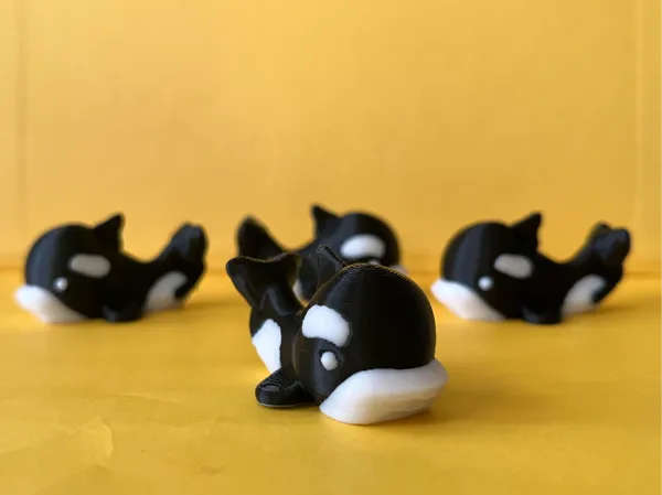 Mini orque mignonne