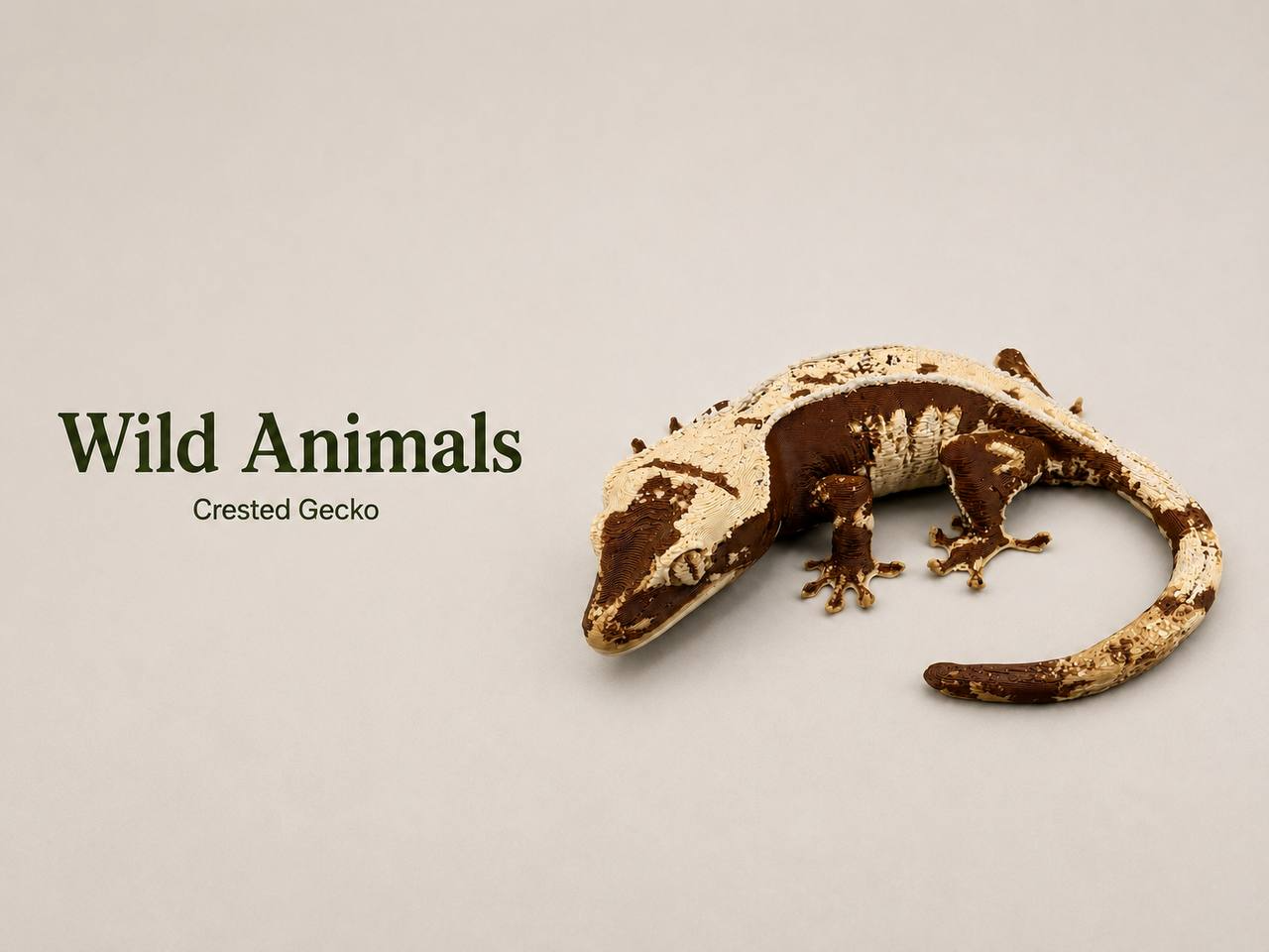 Crested Gecko 3D model