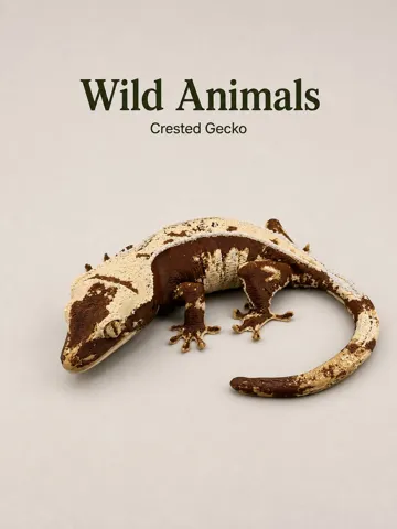 Modelo para impresión 3D: Crested Gecko — vista de referencia 2