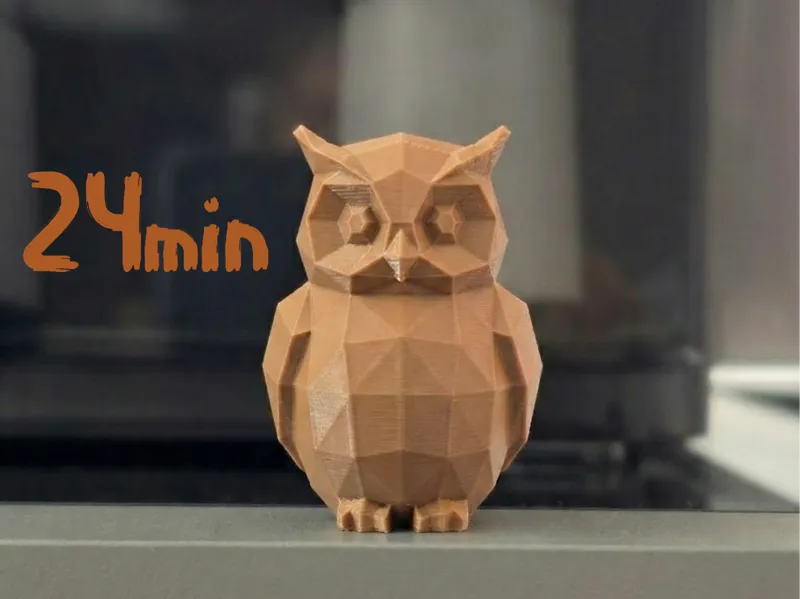 The Poly-Owl: Wise, Cute & Geometric