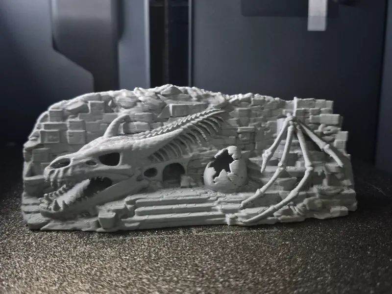 Drachenskelett Rückwand
