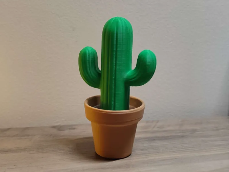 Cactus with pot