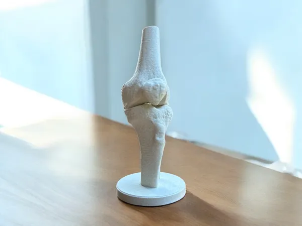 https://makerworld.bblmw.com/makerworld/model/US4b04550c109048/design/2024-08-16_3290af5fea8d7.jpg