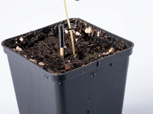 https://makerworld.bblmw.com/makerworld/model/US4b0b9d4165185a/design/2025-02-17_36c296eebb6b.jpg