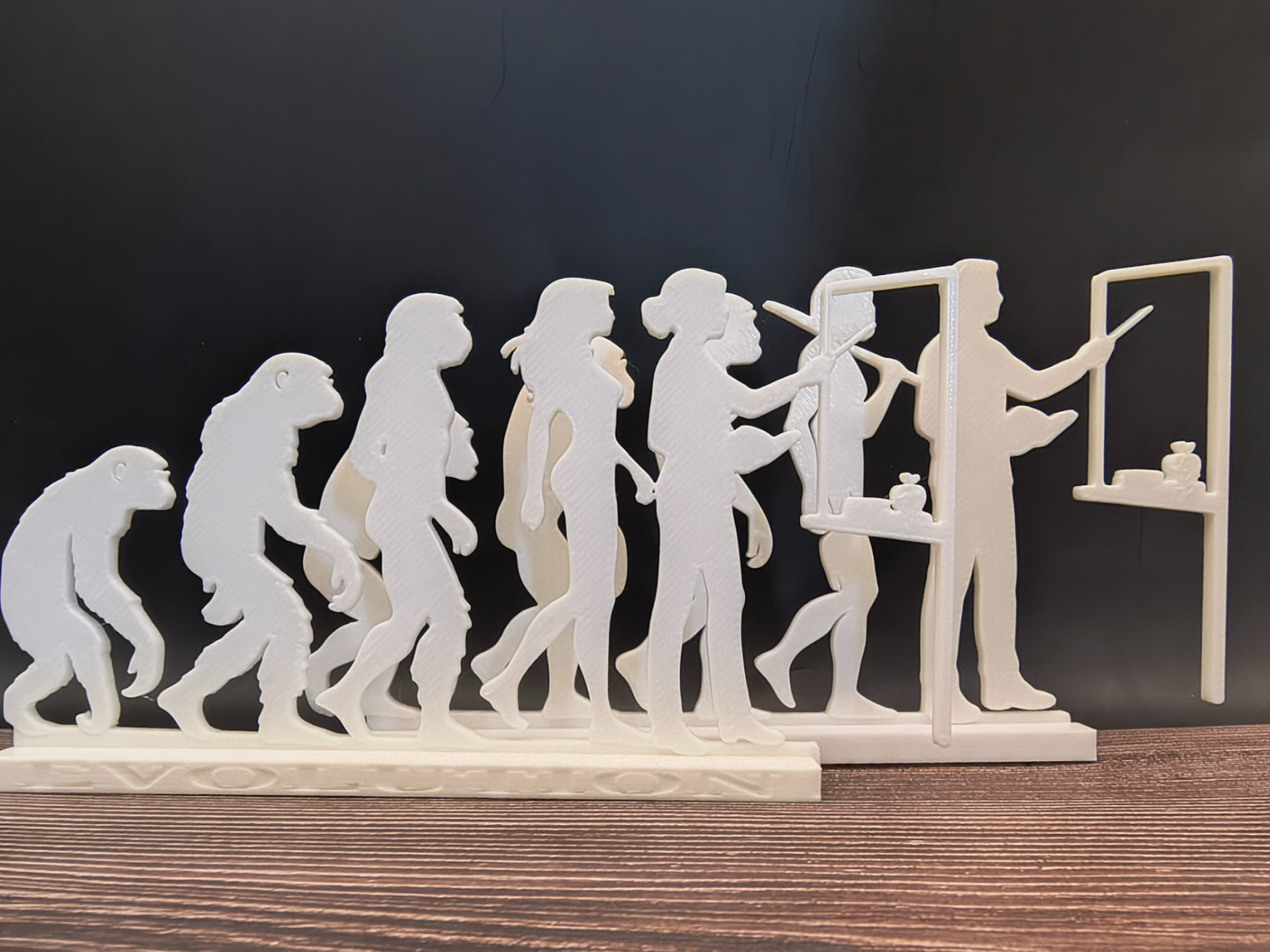 Teacher Evolution Silhouette