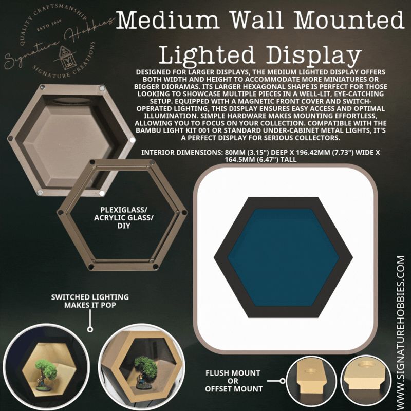 Medium Wall Mounted Lighted Display