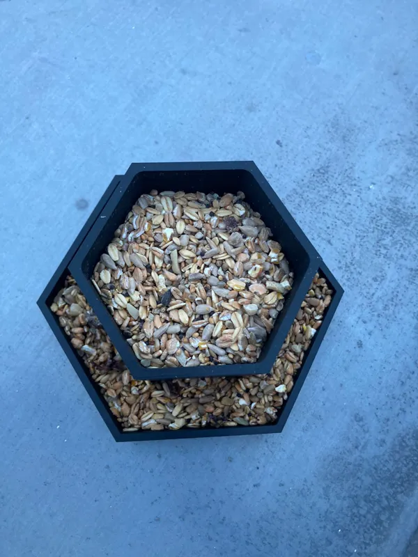 https://makerworld.bblmw.com/makerworld/model/US4b1bdabbde7c80/design/2023-12-10_489c9aad05b98.jpg
