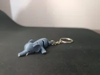 Keychain_0.2mm layer, 2 walls, 15% infill