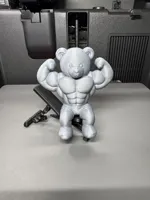 PETG Support