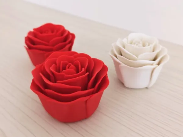 https://makerworld.bblmw.com/makerworld/model/US4b2064651786fc/design/2026-01-06_f28ec5d9de8ec8.jpg