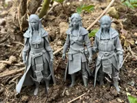Elfes façon Le Seigneur des Anneaux — photo 2